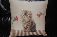 Grand coussin avec chat assis